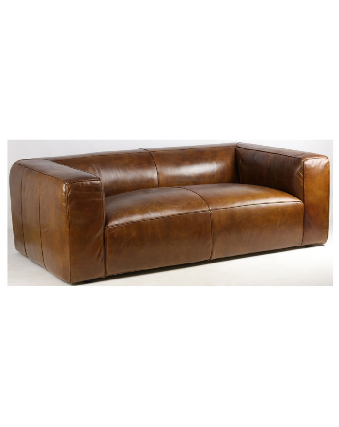 Canapé cosy en cuir pleine fleur Terre Neuve