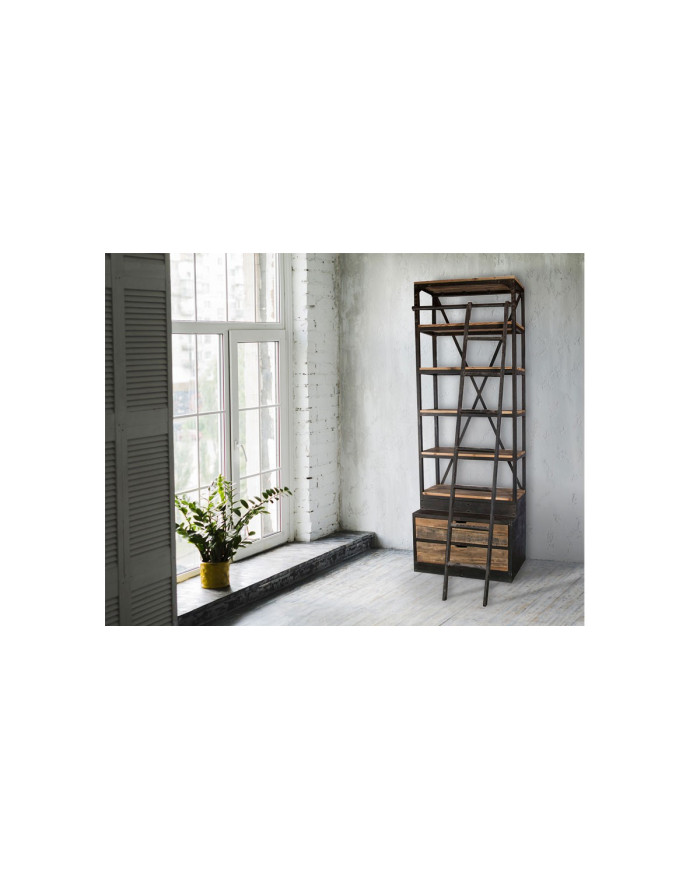 Bibliothèque industrielle avec échelle Heron