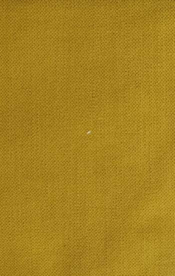 Shadow 06 - Moutarde