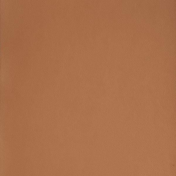 Linea n°6104 - Ambre