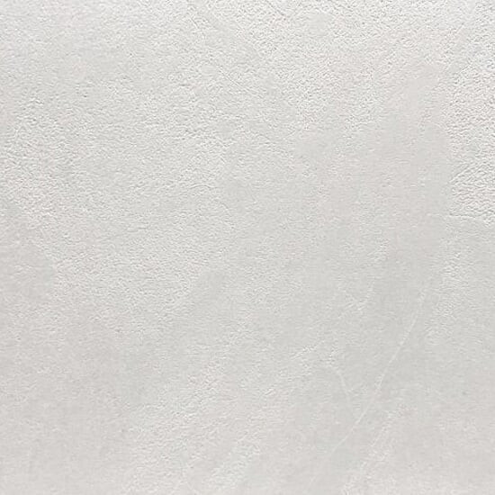 Spatule blanche (N43)